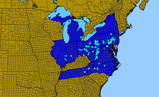 The range of Helleborus viridis